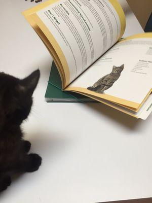 Shaw Veterinary Hospital