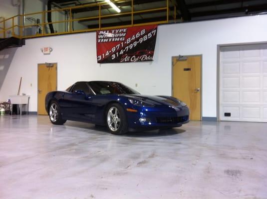 All Type Tint & Detail