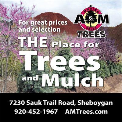 A & M Trees