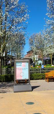 Crocs at Partridge Creek