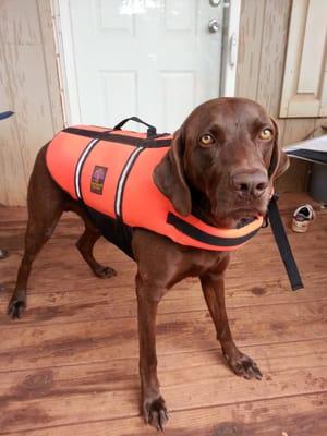 Central Oklahoma Boarding & Grooming