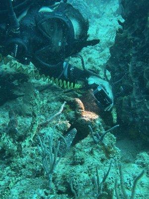 Jorge pointing out a spotted eel.