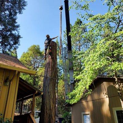 Am/Pm Tree Service