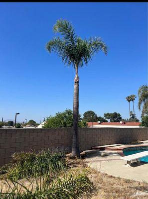 OC Coastal Landscaping