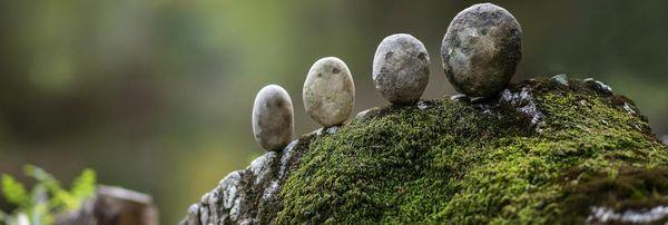 Riverview Acupuncture and Wellness Center