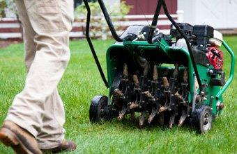 Lawn Aeration