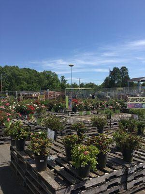 Ann&Hope -- 725 Main Street / Route 109, Millis Garden Center