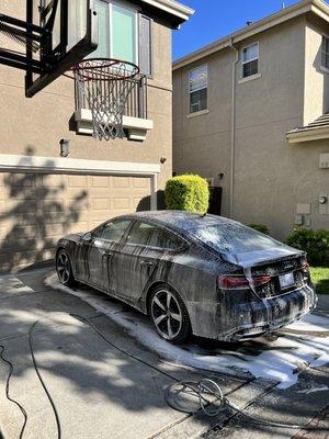 Kings Detail California