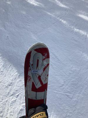 Blue Spruce Consulting