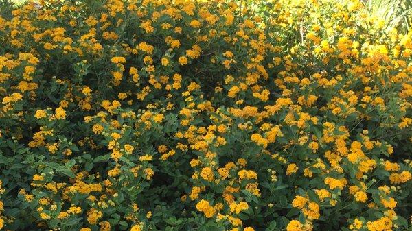 E. R. Nursery-Materials