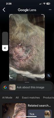 Ark Veterinary Hospital