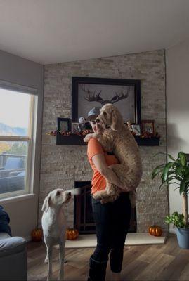 The Lone Star Pet Sitters