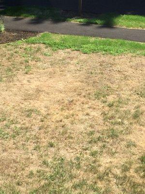 Sampson Brothers Landscape