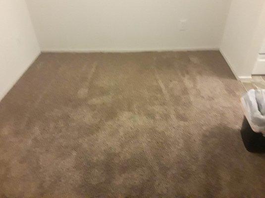 Amazing Detail Cleaning Services