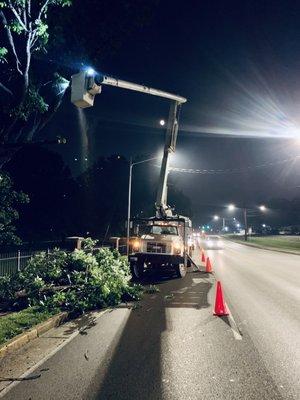 Madison Tree Service