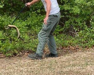 Wild Thingz Wildlife Removal