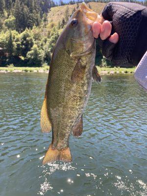 Gary's Guide Service