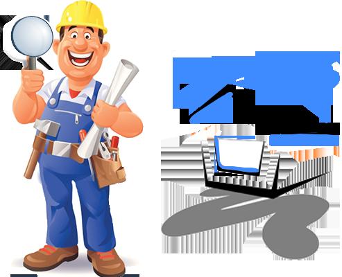 Pro Mold Inspection NY