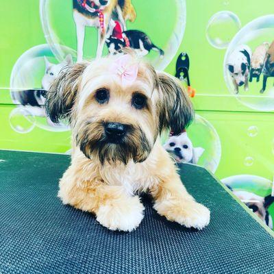 Y la princesita está limpia y fresca.