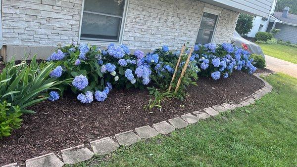 Guaches Landscaping & Snow Removal