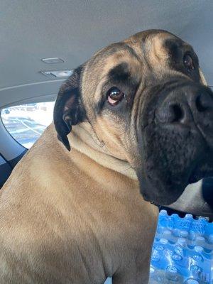 Warminster Veterinary Hospital