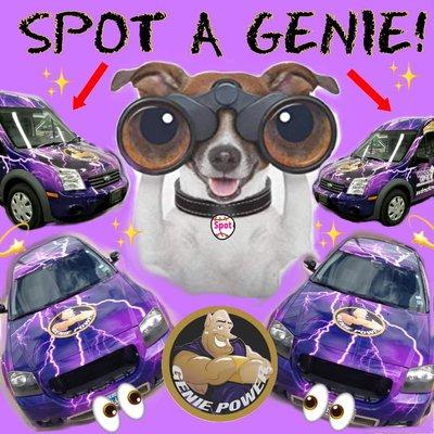 Window Genie of Round Rockc