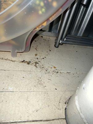 Go Store It Self Storage