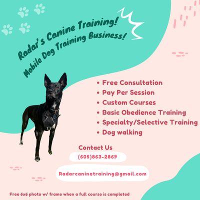 Radar’s Canine Training