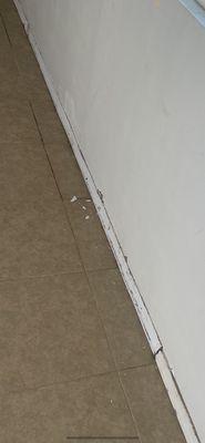 Cal Coast Termite & Pest