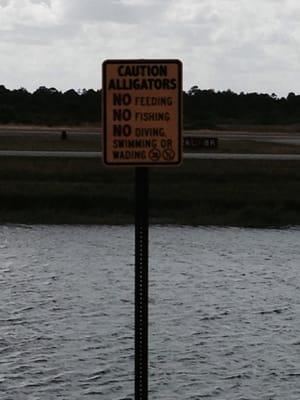 Lakes in between taxiway. Do not try to be close to the water.Alligator 14 foot and they will get you. Be safe....