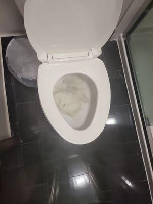 My room bathroom toilet