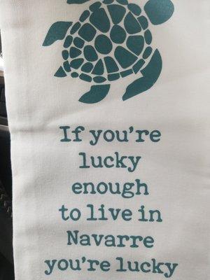 Kitchen towel that matches my gray and teal.