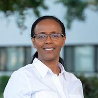 Shewit K Weldetensae, M.D