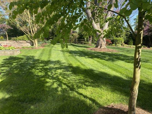 Bonnell Property Service