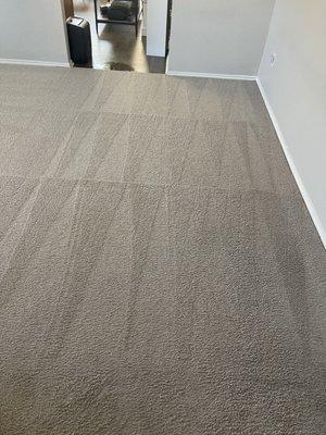 Omega Steam Carpet Cleaning & Water Restoration