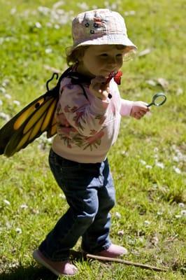 Wonderbug Adventures