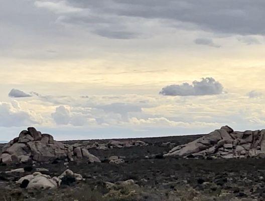 Mojave National Preserve 1/9/24