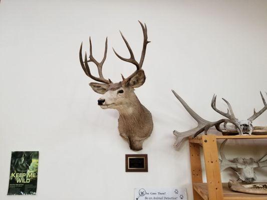 Sooky Goldman Nature Center