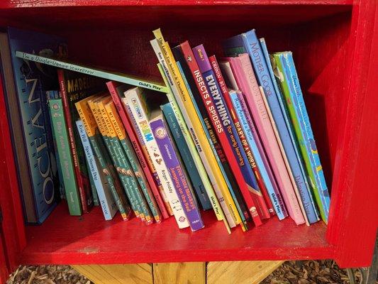 Little Free Library, Hargett St, Richlands