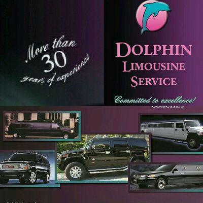 Dolphin Limo