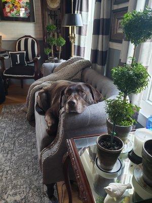 A tough like he has :)