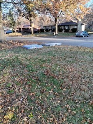 Bright Disposal Services