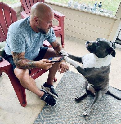 Garden Street Animal Hospital