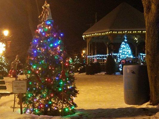 Triangle Park at Christmas, trees decorated in memory or honor of a loved one by the local residents and businesses