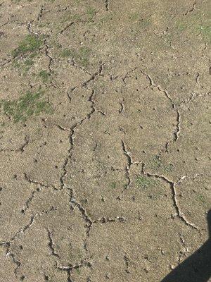 Freeport Country Club