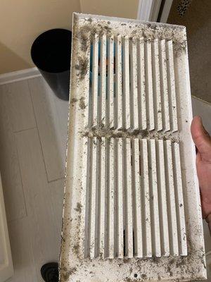 Bunnie & Lucie Cleaning