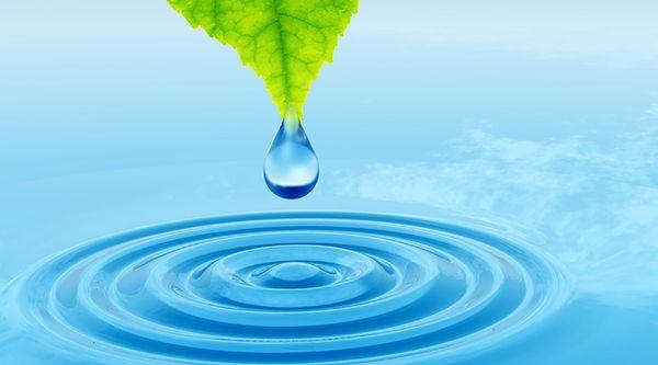 Springs of Life Counseling