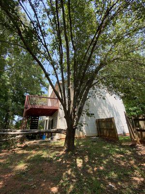 Fernando´s Tree Services