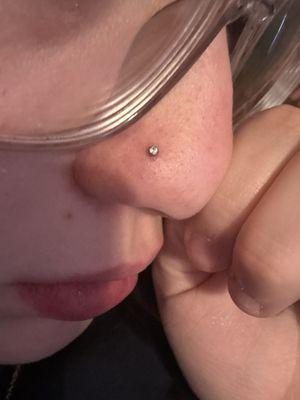 Electric Steel Body Jewelry and Piercing Studio