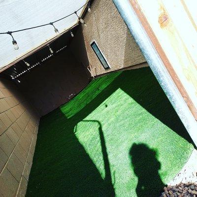 Mountain Lion Landscape And Design